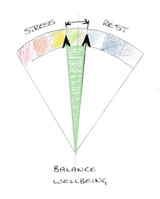 A picture containing text, kite
Description automatically generated