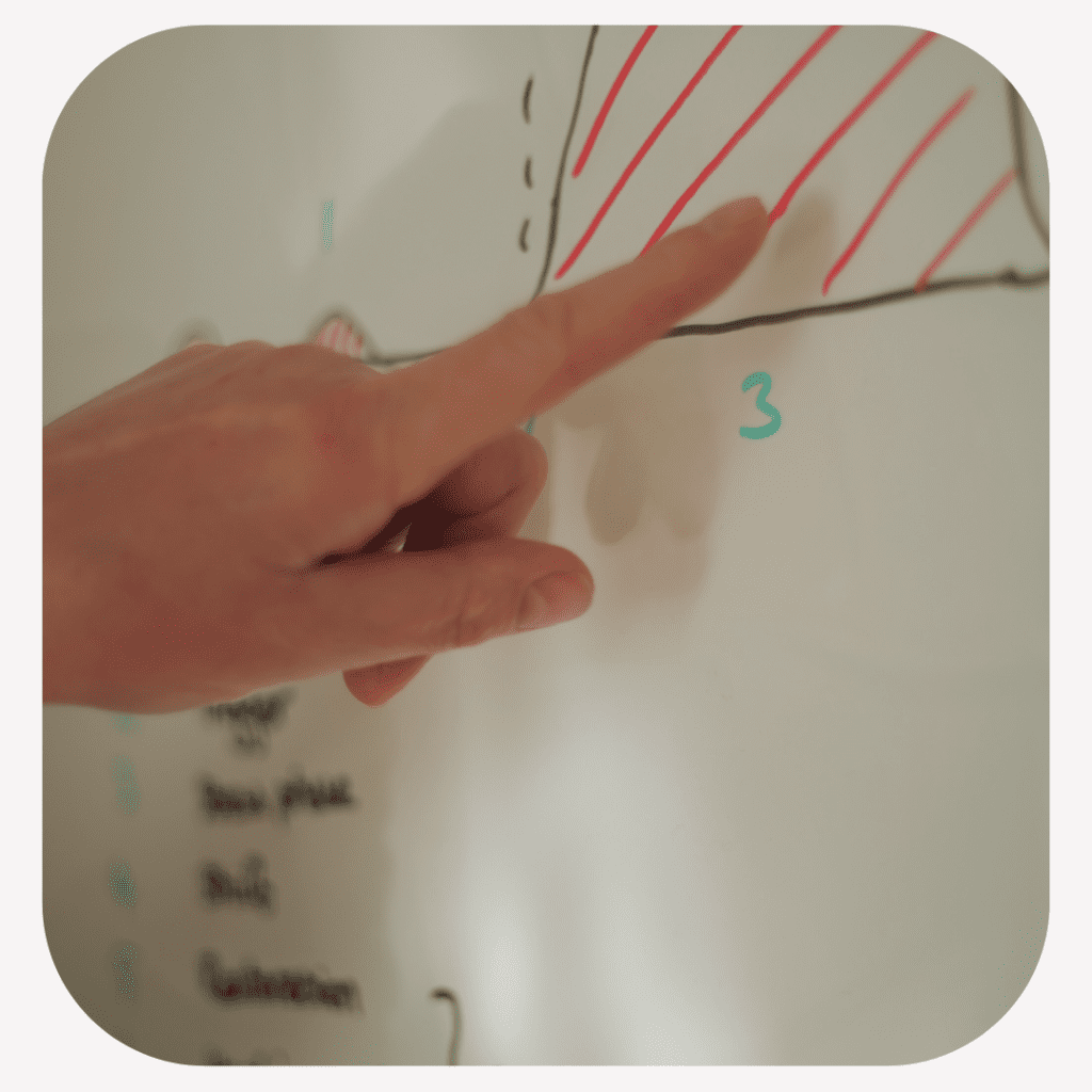 Empower your wellbeing through a greater understanding of the dis-ease process