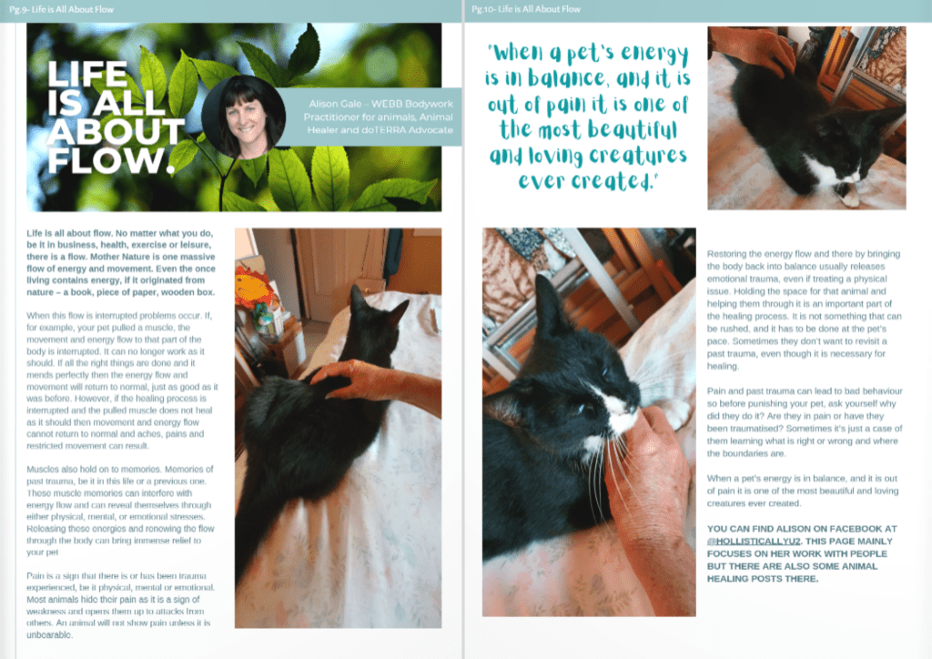 an example of an article shared in a previous edition