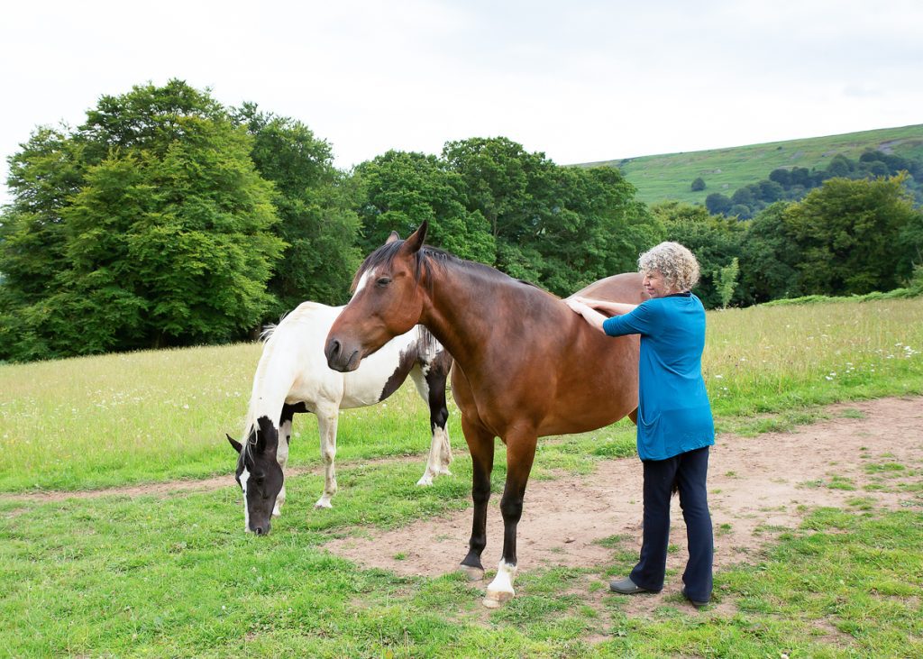 Robyn Harris in the fields at W·I·L·D® Wellbeing with the 2 horses - Dax (a bay gelding) and 'Rika (a piebald mare)