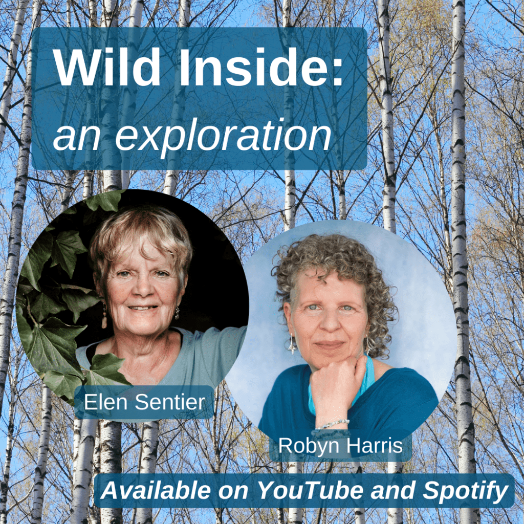 Wild Inside Podcast