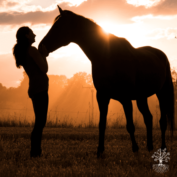 If Horses Could Talk... module 5
